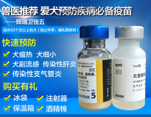 美國疫苗市場概覽 價格、圖片與供應鏈生態